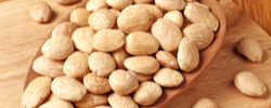 COMPRAR PLANTAS DE FRUTOS SECOS