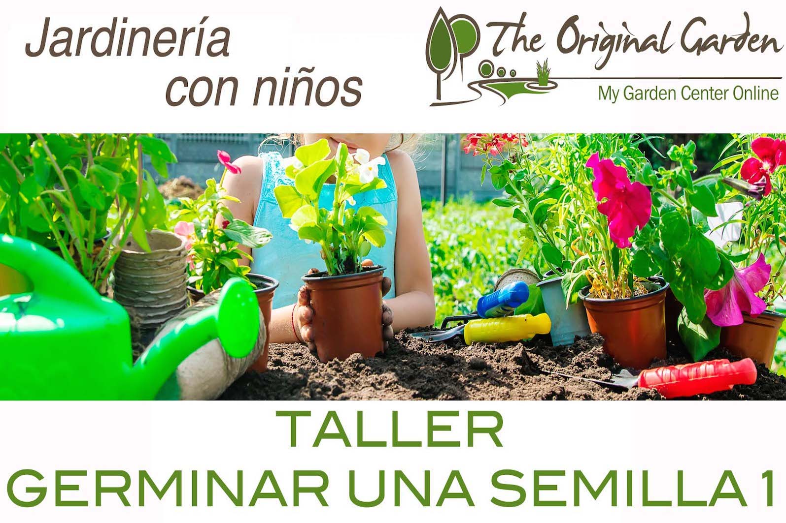 Videotaller con  nios: qu necesita una semilla para germinar?