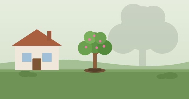 Comment choisir un arbre pour un petit jardin