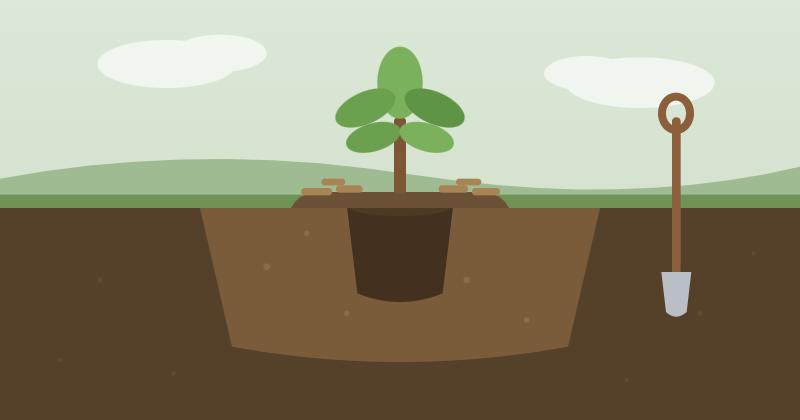 Comment pr�parer la terre avant de planter