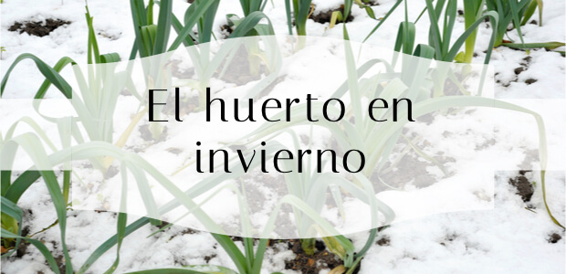 La huerta en invierno