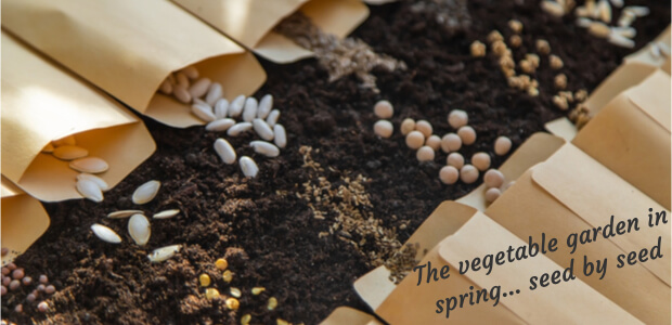 The vegetable garden in spring