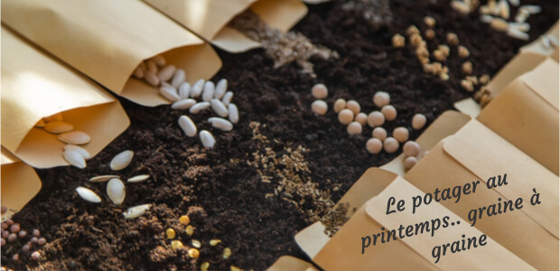 Le potager au printemps