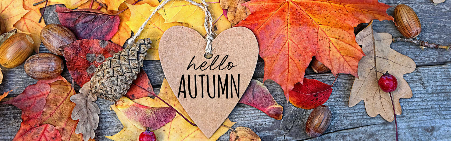 Hello Autumn