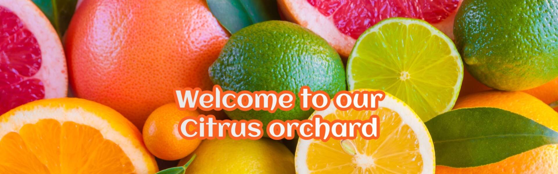 Citrus
