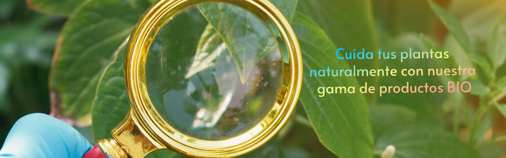Cuida tus plantas