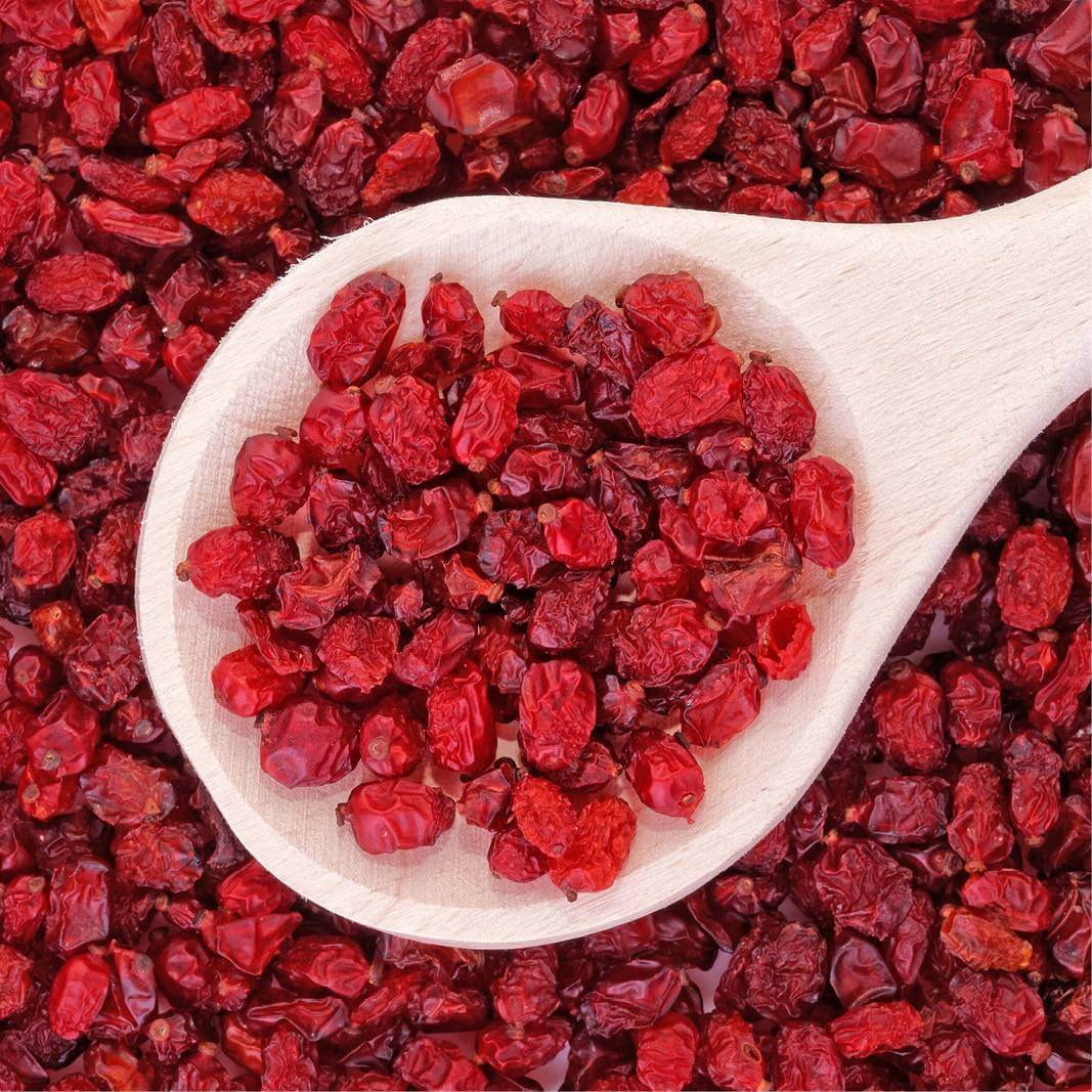 Variberry Plants of Barberry - BERBERIS VULGARIS var. AUSTRALIS - T.O.G