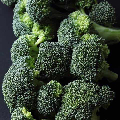 BROCCOLI GREEN Calabrese