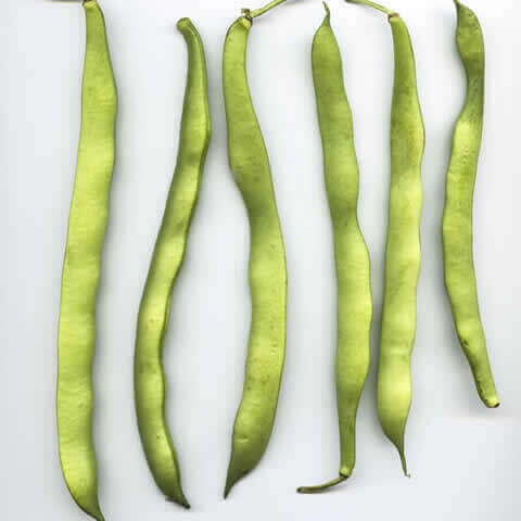 FLAT GREEN BEAN Helda