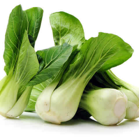 COL CHINA PAK-CHOI (Brassica chinensis)