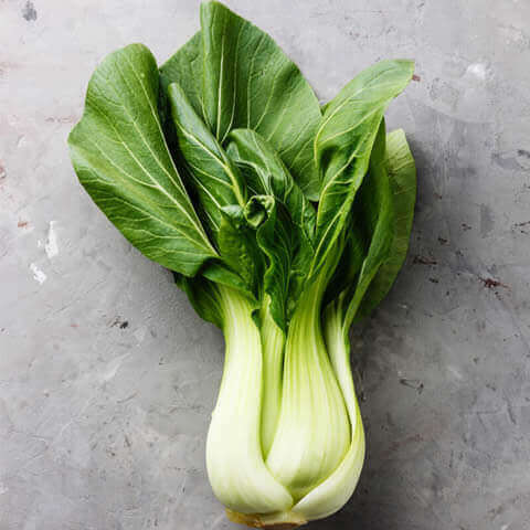 COL CHINA PAK-CHOI (Brassica chinensis)