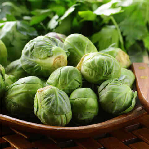 BRUSSELS SPROUTS Groninger