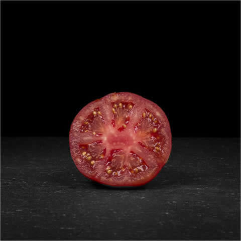 TOMATE Marmande VR (Solanum lycopersicum)