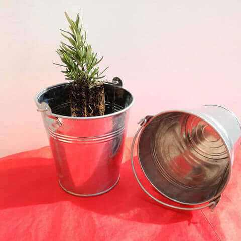 ZINC POT