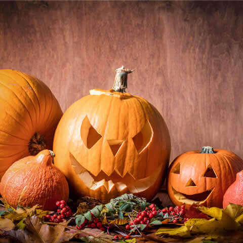 CALABAZA HALLOWEEN JACK O'LANTERN (Cucurbita pepo)