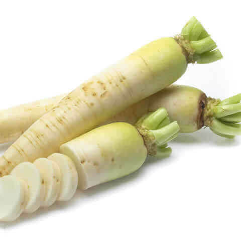 RAPHANUS SATIVUS Daikon Agata