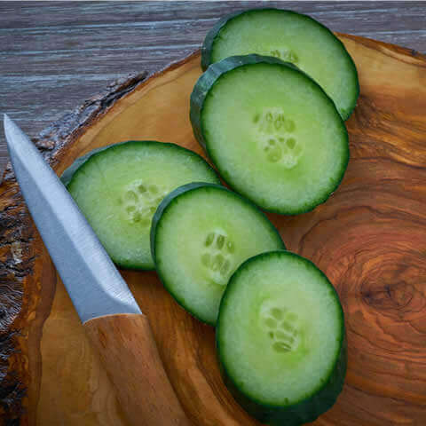 PEPINO TELEGRAPH IMPROVED (Cucumis sativus)