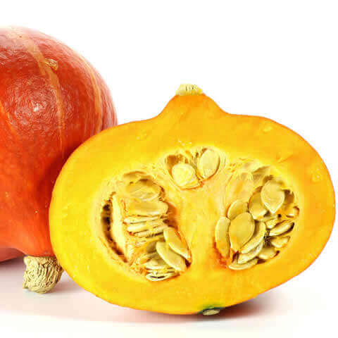 CALABAZA POTIMARRON Uchiki Kuri (Cucurbita maxima)