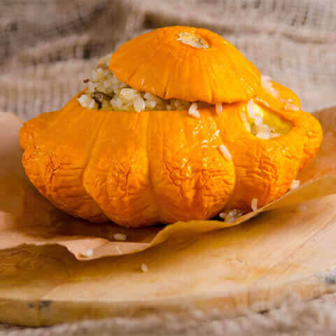 CALABAZA PATISSON Orange (Cucurbita pepo)