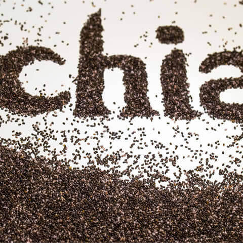 SALVIA HISPANICA - Chia