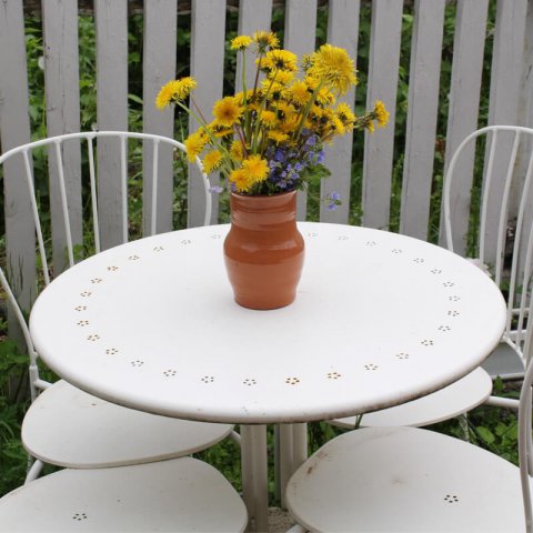 TARAXACUM OFFICINALE - Diente de len