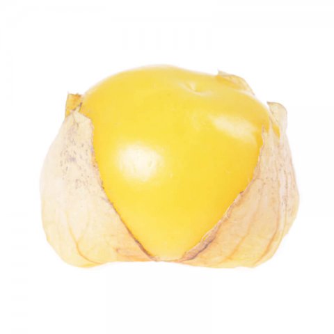 PHYSALIS IXOCARPA - TOMATILLO Amarylla