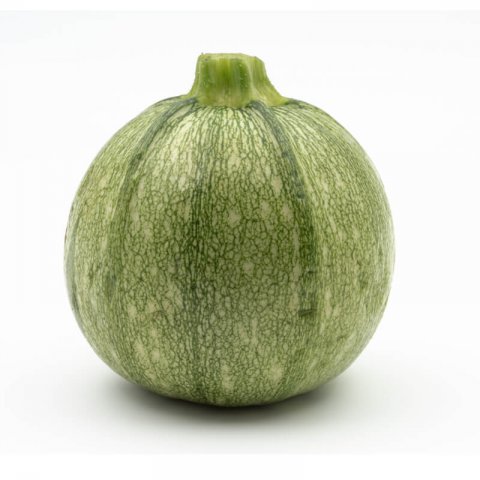 CUCURBITA PEPO - COURGETTE RONDE Tondo chiaro di Nizza