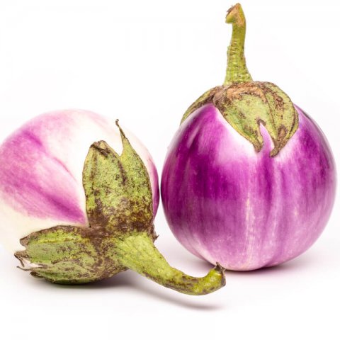 SOLANUM MELONGENA - EGGPLANT Rotonda bianca sfumata di rosa