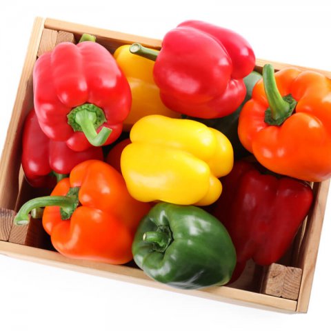 CAPSICUM ANNUUM - PIMIENTOS mix of varieties