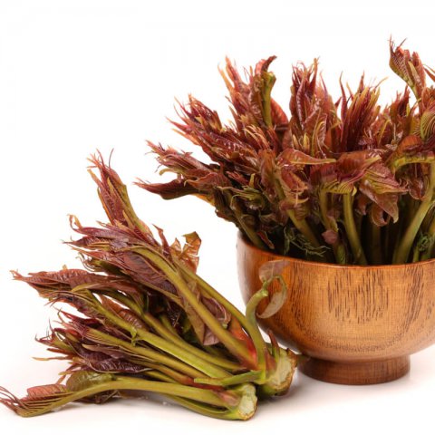 TOONA SINENSIS