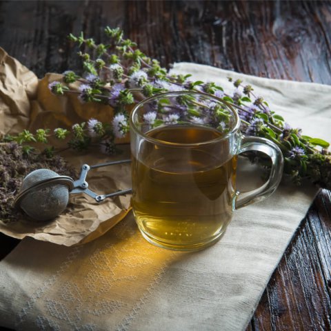 MENTHA PULEGIUM - Menta poleo