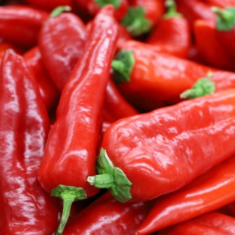 CAPSICUM ANNUUM - SWEET PEPPER Corno di Toro Rosso