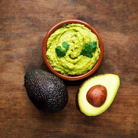 PERSEA AMERICANA - AGUACATE HASS