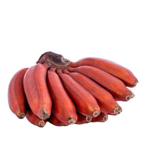 MUSA ACUMINATA RED DACCA - Red Banana