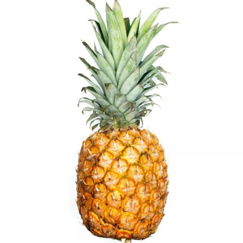 ANANAS COMOSUS Md2 - Super sweet Pineapple