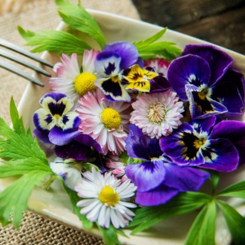 BLOOMER MIX 12- EDIBLE FLOWERS MIX