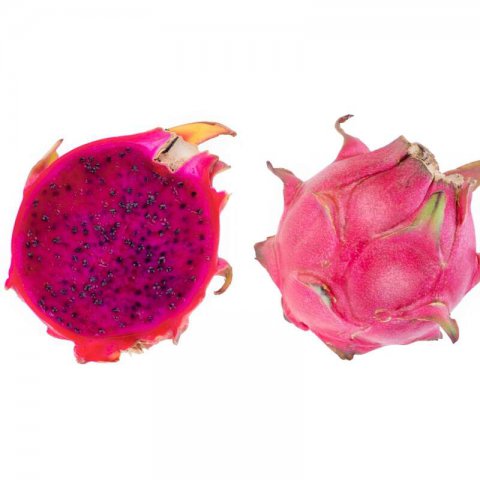 SELENICEREUS TESORO - PITAHAYA TESORO