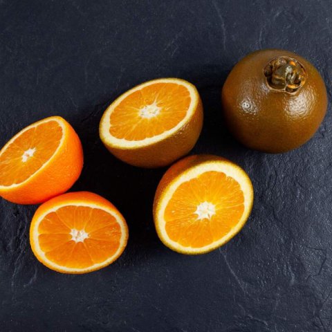 CITRUS SINENSIS - Orange Tree Navel Chocolate
