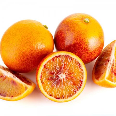 CITRUS SINENSIS Sanguinelli - Orange Tree Sanguinelli