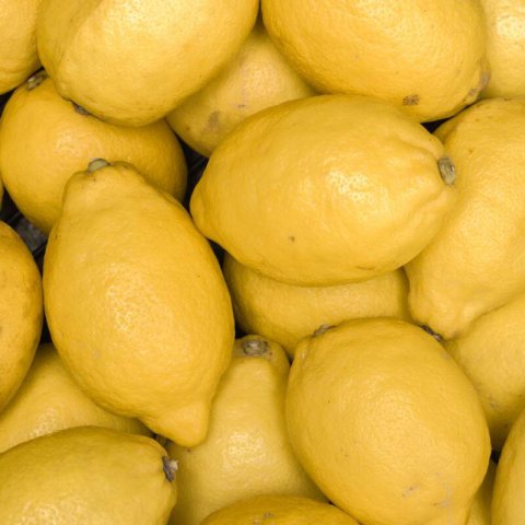 CITRUS x LIMON - Limonero Fino Mesero