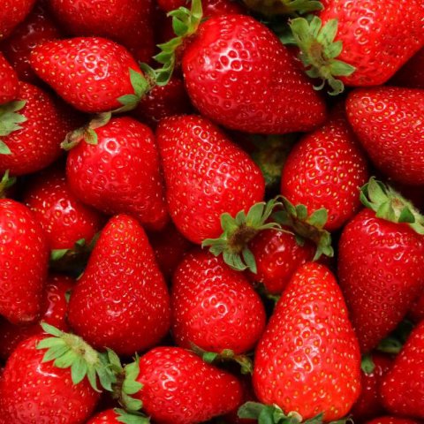 FRAGARIA X ANANASSA - Strawberry Mariguette