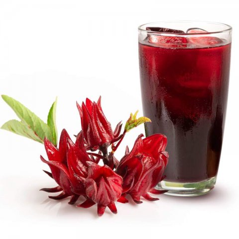 HIBISCUS SABDARIFFA Red cocktail