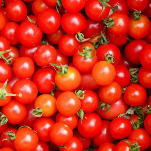 SOLANUM LYCOPERSICUM - TOMATO CHERRY Cascade (Hundreds & thousands)