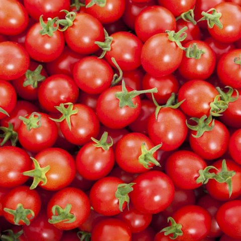 SOLANUM LYCOPERSICUM - TOMATE CHERRY Red Cherry