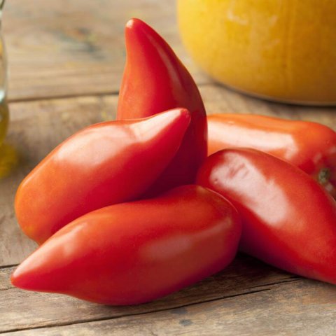 SOLANUM LYCOPERSICUM - TOMATE Cornue des Andes