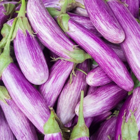 SOLANUM MELONGENA - BERENJENA Tsakoniki #1