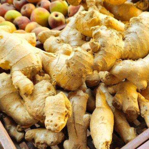 ZINGIBER OFFICINALE