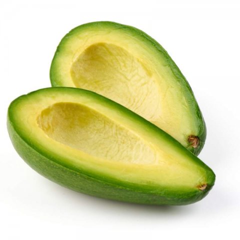 PERSEA AMERICANA - ADVOCADO ETTINGER #2