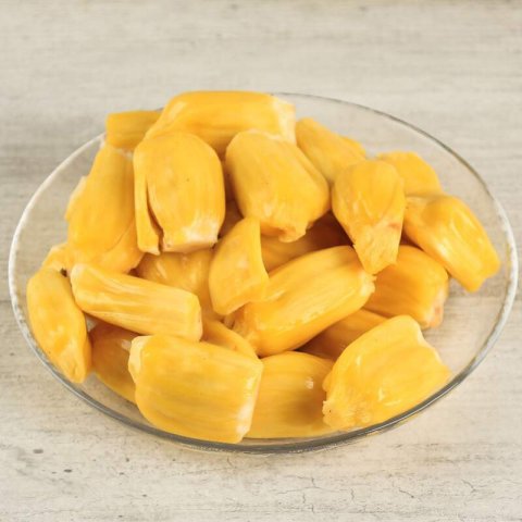 ARTOCARPUS HETEROPHYLLUS - JACK FRUIT