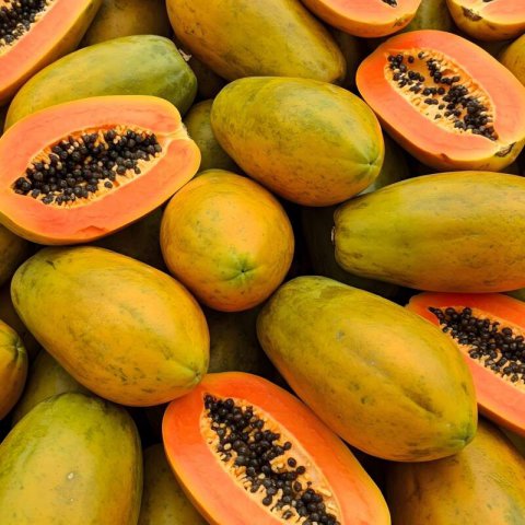 CARICA PAPAYA - PAPAYA Luve
